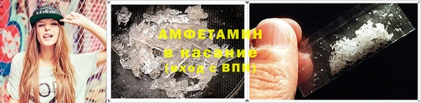 хмурый Алзамай