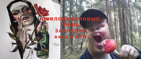 дурь Алексеевка