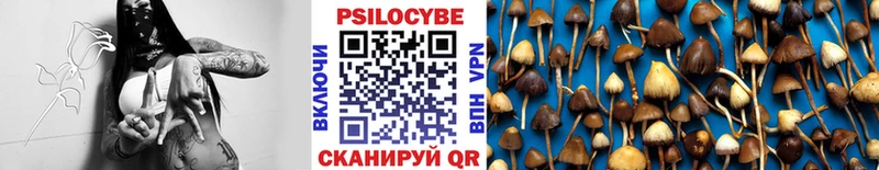 Купить закладки  Катав-Ивановск  Псилоцибиновые грибы ЛСД 